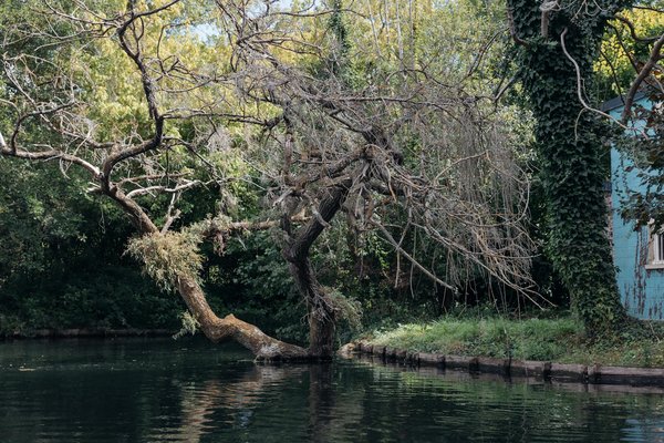 Tout savoir sur le sucre : variété, bienfaits et astuces